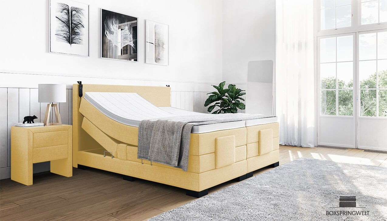 Boxspringbett Erik in Board Gelb