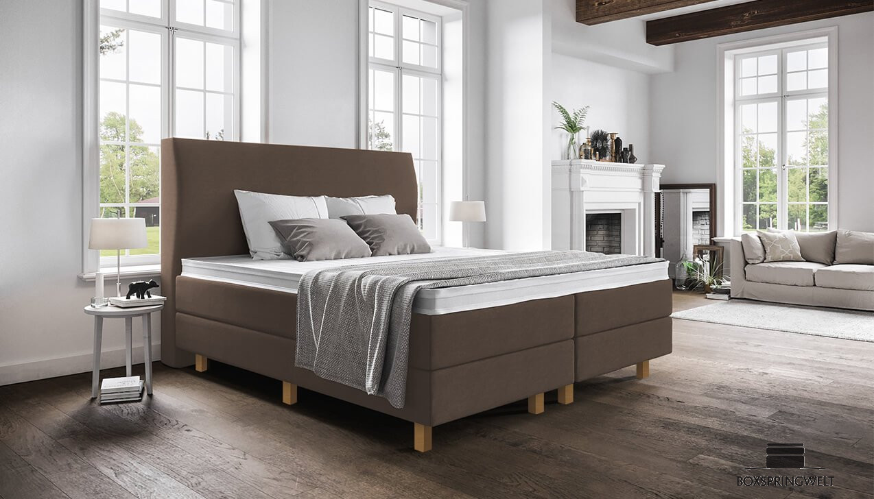 Boxspringbett Paula in Mine Schokolade